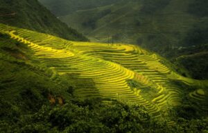 nature-4482349_1920